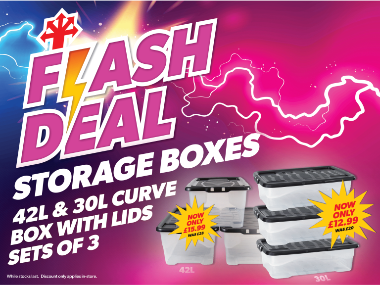 Flash Deal on Storage Boxes