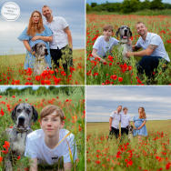 Book Now for Poppy Mini Photo Sessions!