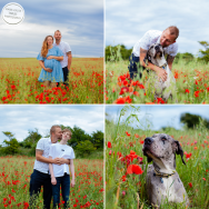 Book Now for Poppy Mini Photo Sessions!