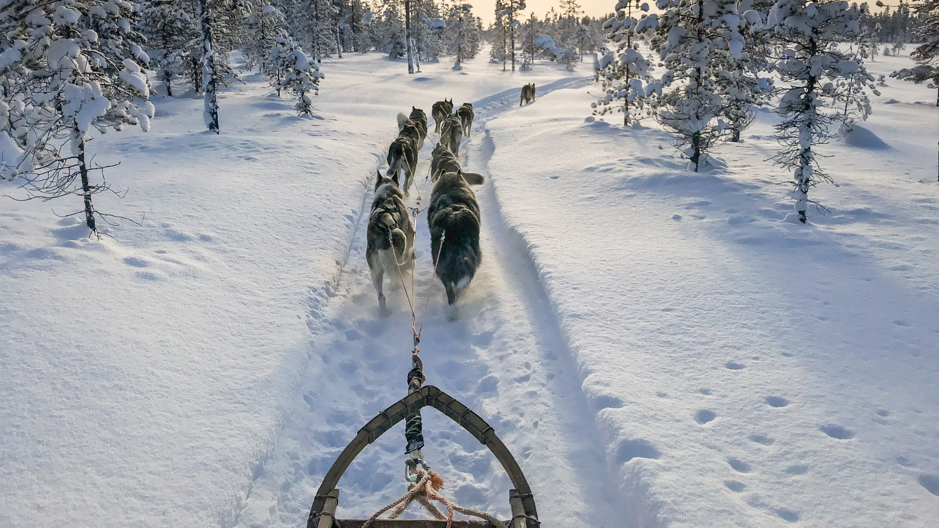 69ca8b7a0a6f6c6c0729b909