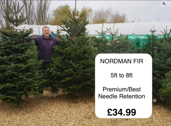 6908a26a0a6f6c52cd49ad85