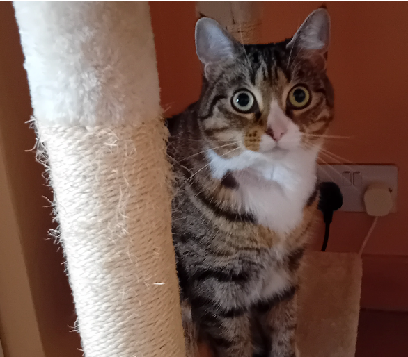 6962b1710a6f6c1b9a14d7f3