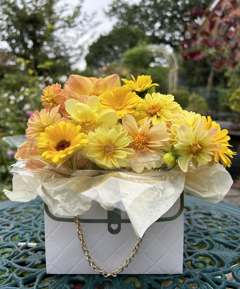 69297dfafb70e72b0b6b9775