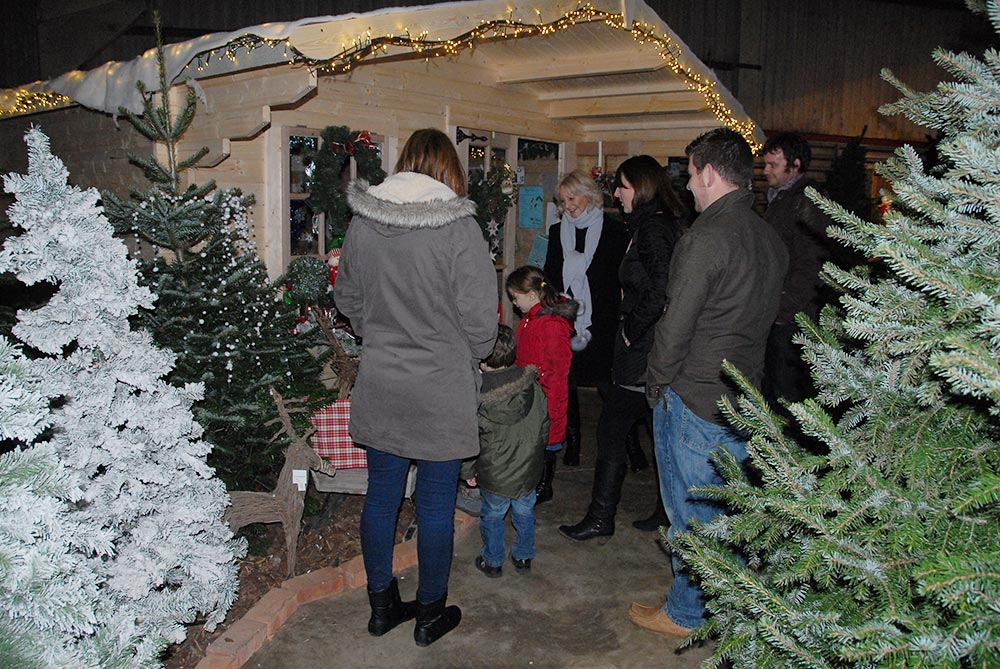 Where To Buy Christmas Trees in Market Harborough.