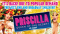 Priscilla Queen of the Desert - Tour, Milton Keynes Theatre