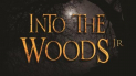 Into The Woods Jnr