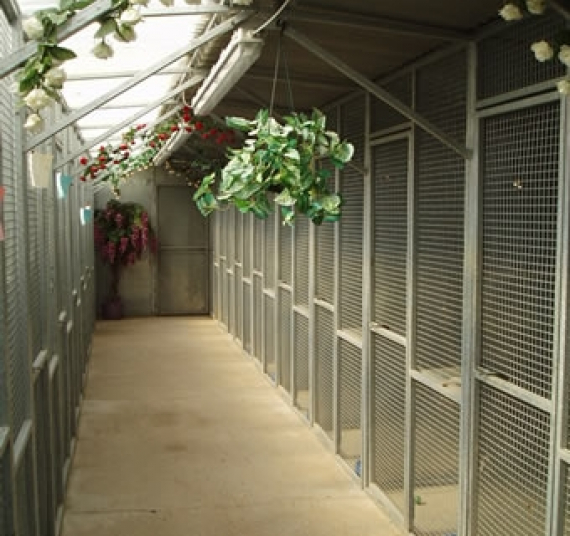 Cottage Boarding Kennels and Cattery Telford Telford and Wrekin