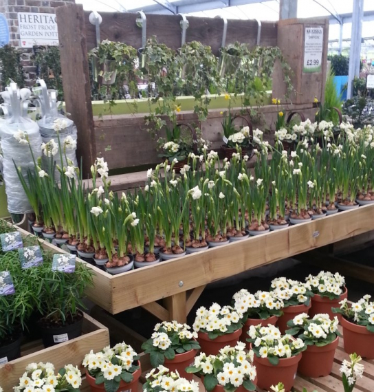 Newbank Garden Centre Bury