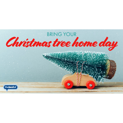 Did you know? 8th December is Bring Your Christmas Tree Home Day,