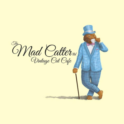 The Mad Catter Vintage Cat  Cafe  Open  for Business 4th July