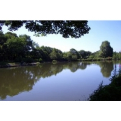 Bradshaw fisheries deals