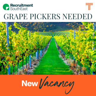 Grape Pickers Required in Sussex