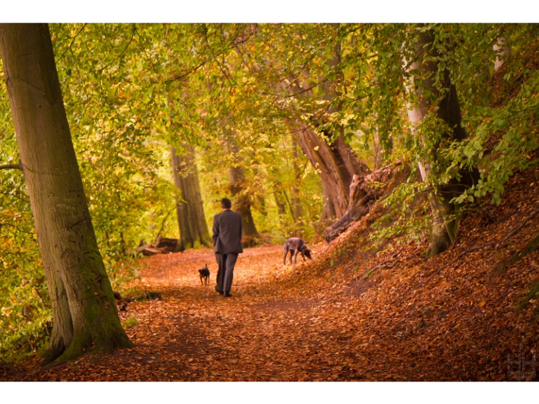 Winchester's longish walks have a look and pick your