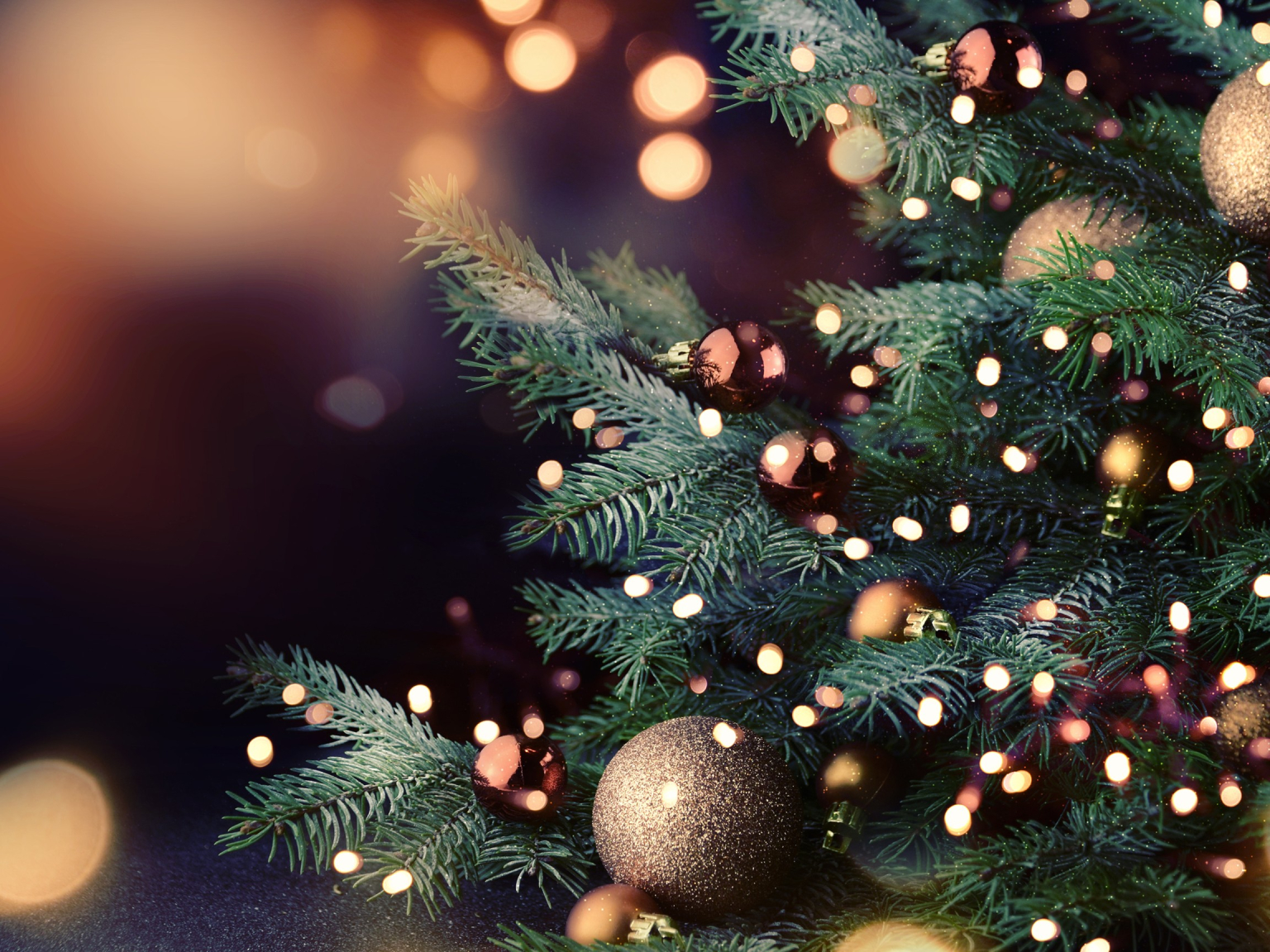 Birmingham charity embraces Christmas with seasonal activities