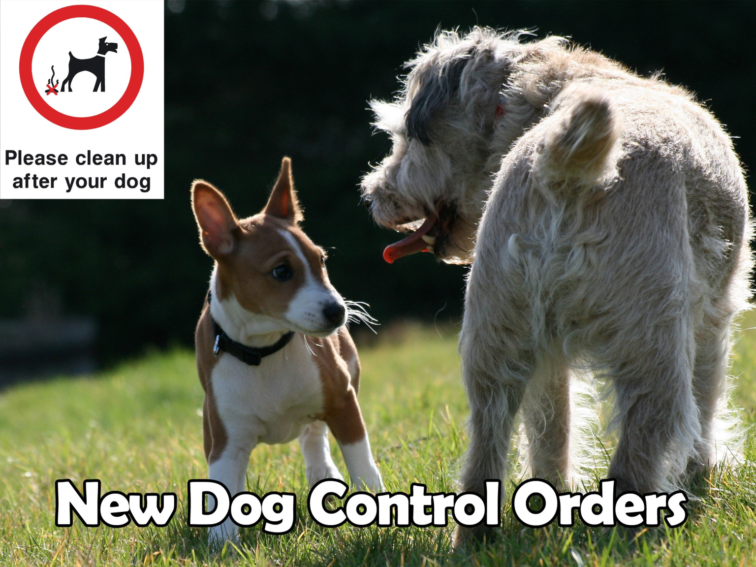 NEW COUNCIL DOG CONTROLS COME INTO EFFECT