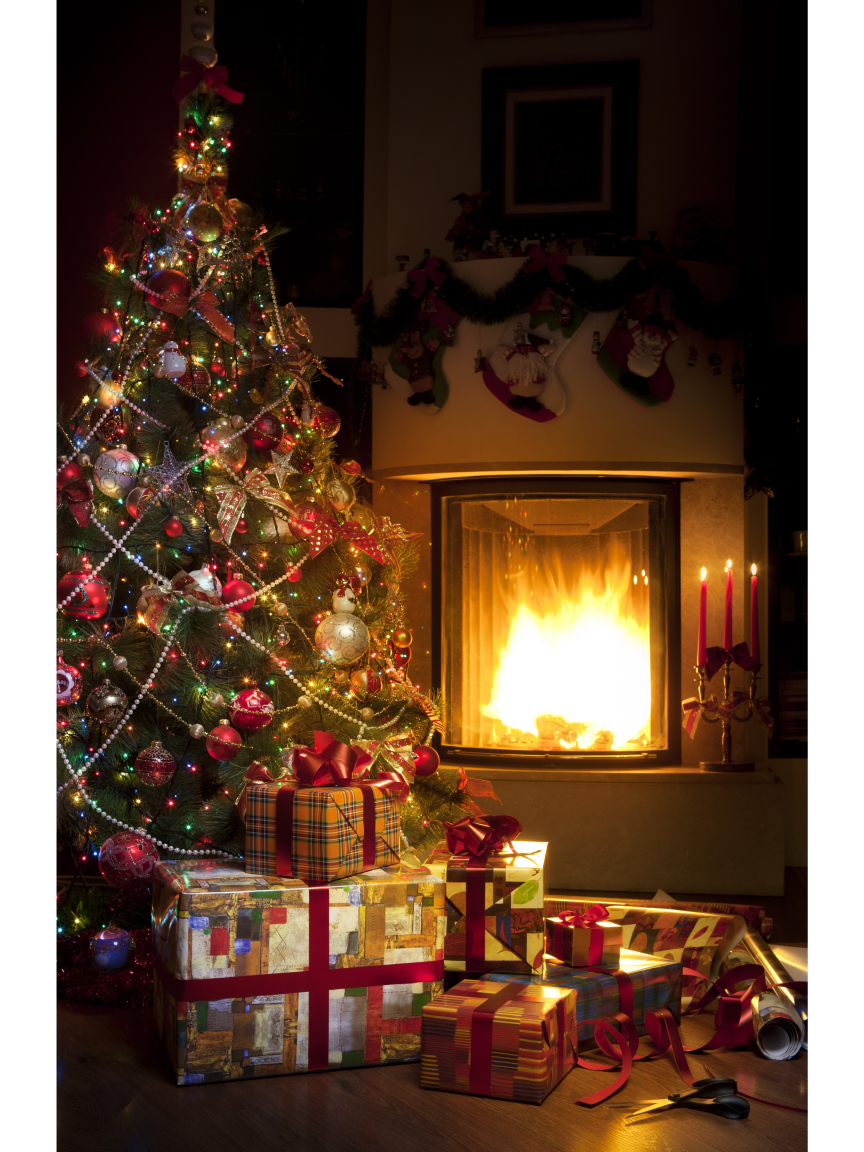 Christmas Trees in Brighton and Hove The finest in the city!