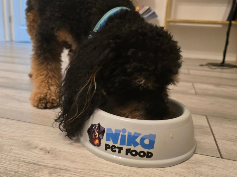Dog-Friendly Dining in Eastbourne with Nika Pet Food