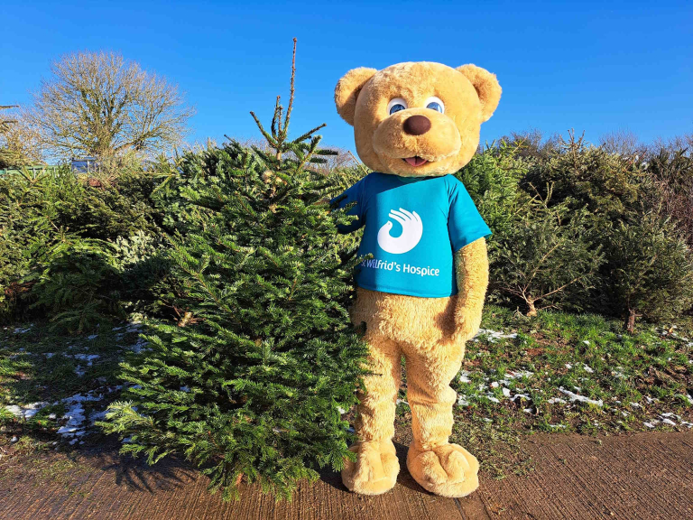 Recycle your Christmas tree for St Wilfrid's Hospice