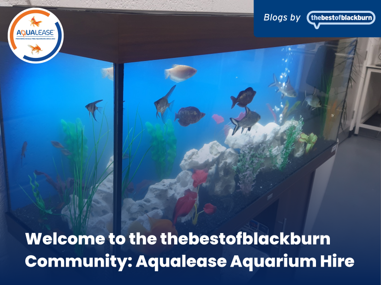 Welcome to the thebestofblackburn Community: Aqualease Aquarium Hire