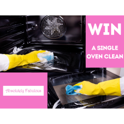 Win a Single Oven Clean with Absolutely Fabulous