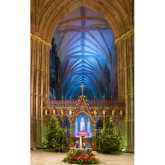 Christmas Tree Festival opens this Thursday at Lichfield Cathedral  