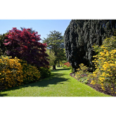 Prepare your garden for Spring with Preston Garden Services