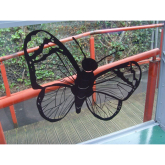 Sponsorship Opportunity Available At The Butterfly House, Moss Bank Park, Bolton