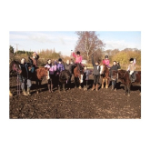 Easter at the Holistic Horse and Pony Centre near Guildford