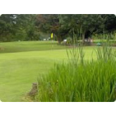 Learn2Play Golf in Taunton