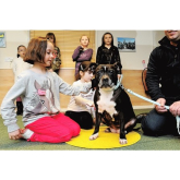 A FOUR-LEGGED STAFFIE friend is helping youngsters 