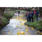 On your marks - get set and Paddle -They went Quackers at Ewell Court and raised over £1000
