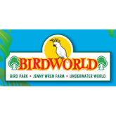 Birdworld Farnham – What have you been missing?