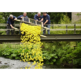 The Turton Rotary Club Duck Race was a quacking event in Bolton. 