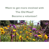 The Old Moat Garden Centre in Epsom looking for volunteers – get more involved @theoldmoat
