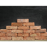 Buy A Brick Campaign 2013