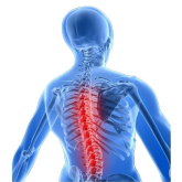 Do you suffer from back pain? Chiropractors in Shrewsbury could help
