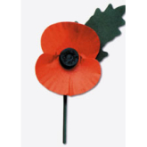 Remembrance Sunday 10th November 2013 in the borough of Ealing