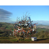 Are you taking part in Tree Dressing Day 2013?