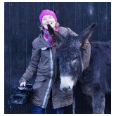 The World Famous Donkeys of Clovelly Launch North Devon Film Project