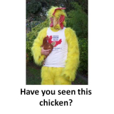 Have you seen this chicken in Epsom?