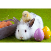 Easter Guide for Rochdale 2014