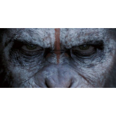 Dawn of the Planet of the Apes a must see in Shrewsbury