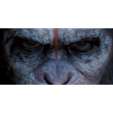 Dawn of the Planet of the Apes - Movie Review