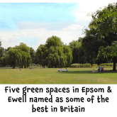 Five green spaces in Epsom & Ewell named as some of the best in Britain @epsomewellbc @keepbritaintidy