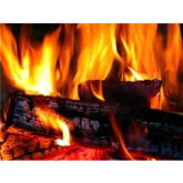 BEST LOGS FOR A WOOD FIRE
