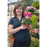 Nicola is buzzing after interest in bumble bees leads to dream job at Shrewsbury garden nursery