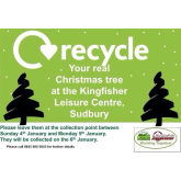 Where to recycle your Christmas Tree in Sudbury