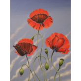 Cathedral Remembers Great War With Exhibition Of Cheshire Art