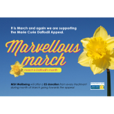 Marvellous March at MSH Wellbeing...