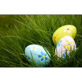Eggciting Easter Egg Hunts in 2016 - Harrogate